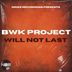 Cover art for "BWK Project — Will Not Last"