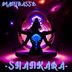 Cover art for Shankara