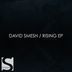 Cover art for "David Smesh — Rising"