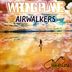 Cover art for "Wrong Plane — Airwalkers (Extended Mix)"