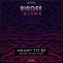 Cover art for "Birdee — Meant to Be feat. Alena (Yam Who? Remix)"