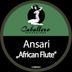 Cover art for African Flute