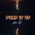 Cover art for Pump It Up (Burmosder Special)