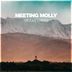 Cover art for "Meeting Molly — Middle Earth"