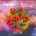 Cover art for "Noluh, The Mambo Project — The Calling (Radio Edit) (A.C.N.)"