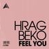 Cover art for "Hrag Beko — Feel You (Extended Mix)"