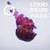 Cover art for Liquid Drum & Bass Sessions 2020 Vol 24