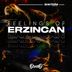 Cover art for "OzerO — Feelings of Erzincan"