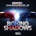 Cover art for Boxing the Shadows