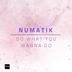 Cover art for "Numatik — Do What You Wanna Do (Extended Mix)"