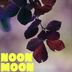 Cover art for Noon Moon
