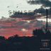 Cover art for "Scrapie — Sunset"