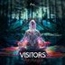 Cover art for "Visitors — Yeah Fungus"