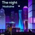 Cover art for "Hoskaine — The Night (original mix)"