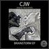 Cover art for "CJW — Electrical Impulses (Original Mix)"