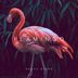 Cover art for "Flamingo — Heavy Steps"