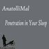 Cover art for "AnatolliMal — Penetration in Your Sleep"