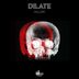 Cover art for "Dj Dilate — Killer"