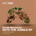 Cover art for "Davide Mentesana — Into the Jungle (Original Mix)"