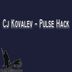 Cover art for "Cj Kovalev — Pulse Hack"