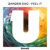 Cover art for "Zander (UK) — Feel It (Extended Mix)"