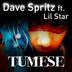 Cover art for "Dave Spritz — Tumese"