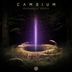 Cover art for "Cambium — Infinity"