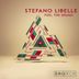 Cover art for "Stefano Libelle — Dubtrain"