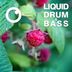 Cover art for Liquid Drum & Bass Sessions 2020 Vol 13