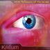 Cover art for "Kailum — More Reflexions of the World"