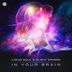 Cover art for "Liquid Soul, Silent Sphere — In Your Brain (Original mix)"