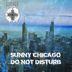 Cover art for "Sunny Chicago — Bad Posture"