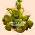 Cover art for "Andy Slate — Some Like It Hot (Original Mix)"