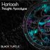 Cover art for "Harfoosh — Thoughts Apocalypse"