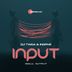 Cover art for Input