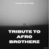 Cover art for "Afro Victimz — Tribute To Afro Brotherz"