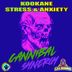 Cover art for "KOOKANE - STRESS & ANXIETY — CANNIBAL SYNERGY (Original mix)"