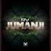 Cover art for Jumanji