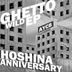 Cover art for "Hoshina Anniversary — Bit Stupid"