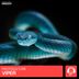 Cover art for "Protoculture — Viper (Original Mix)"