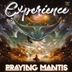 Cover art for "Praying-Mantis — Experience (Original Mix)"