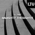 Cover art for "DJ Tribe — Naughty Thoughts (Original Mix)"