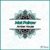 Cover art for "Mat Polraw — Amber House"