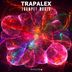 Cover art for "TrapaleX — Trumpet World"