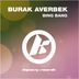 Cover art for "Burak Averbek — Big Bang"