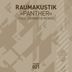 Cover art for "Raumakustik — Panther (Format:B Remix)"