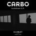 Cover art for "Carbo — Evolution (Original Mix)"