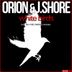 Cover art for "Orion, J.Shore — White Birds (Heikki L Remix)"