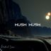 Cover art for "Michael Lami — Hush Hush"