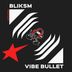 Cover art for "Bliksm — Vibe Bullet (Original mix)"